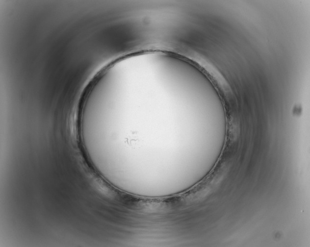 X0000103950886200809191438