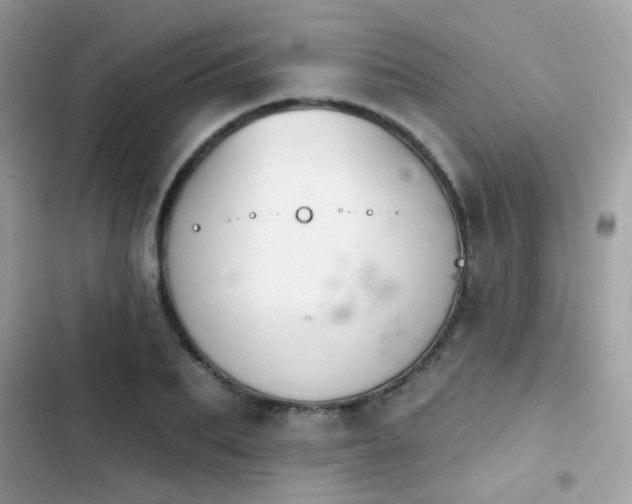 X0000103950887200809191438