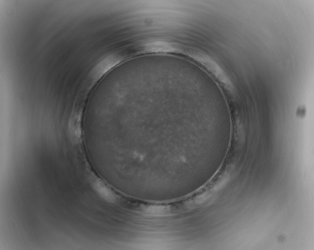 X0000103950889200809191438