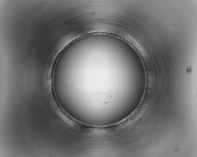 X0000103950890200809191438