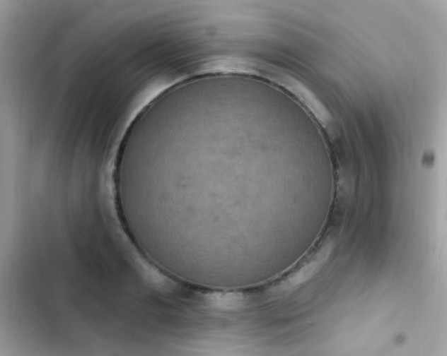 X0000103950893200809191438