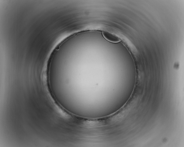 X0000103950894200809191438