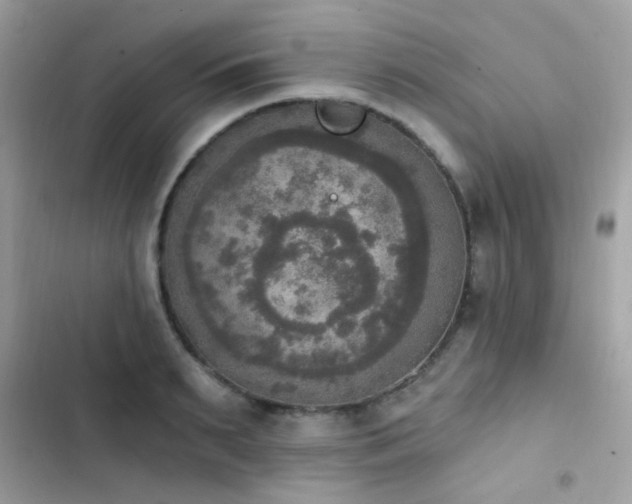 X0000103950895200809191438