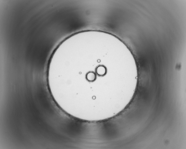 X0000103950896200809191438