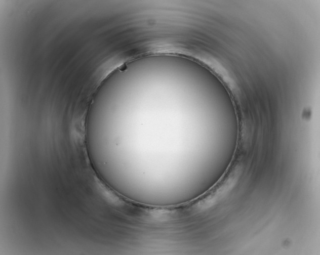 X0000103950897200809191438