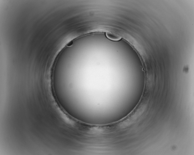 X0000103950898200809191438