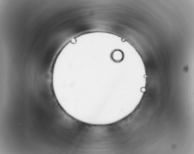 X0000103950900200809191438