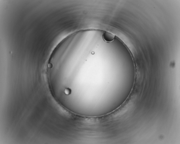 X0000103950901200809191438