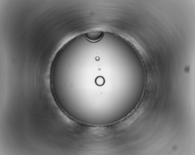 X0000103950902200809191438
