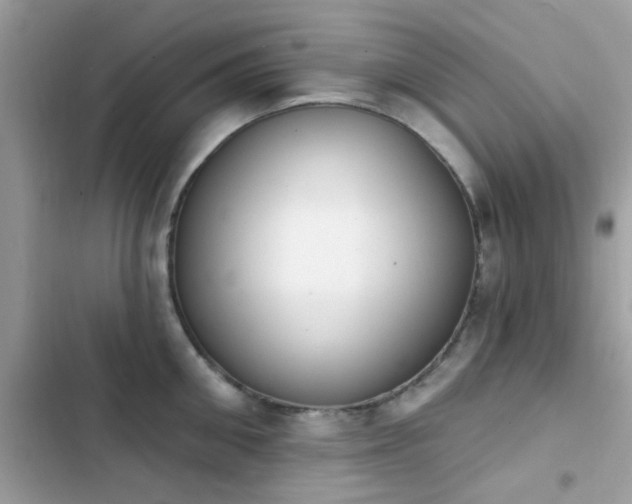 X0000103950906200809191438