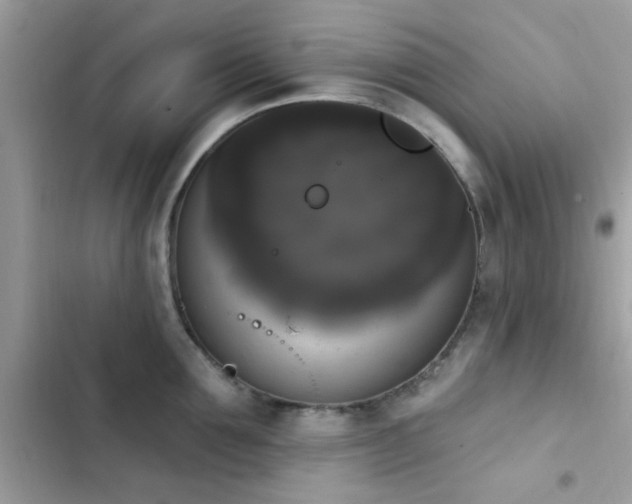 X0000103950907200809191438