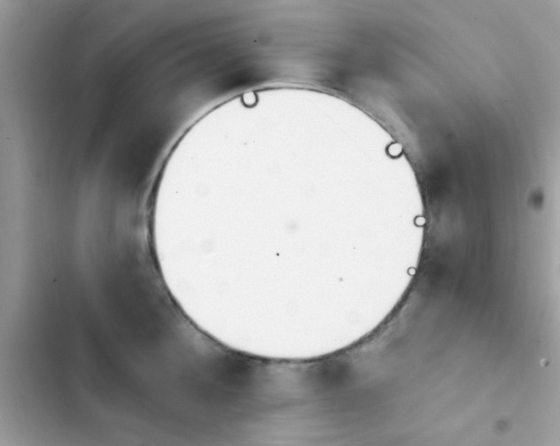 X0000103950908200809191438