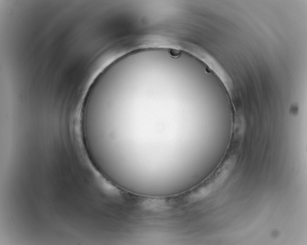 X0000103950909200809191438