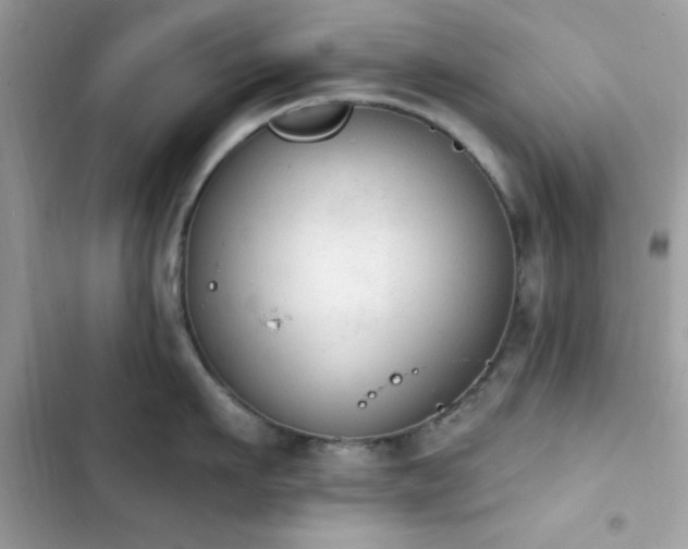 X0000103950911200809191438
