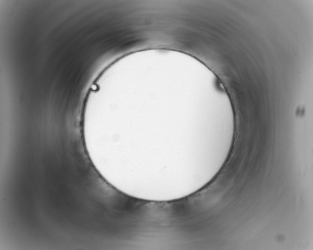 X0000103950912200809191438