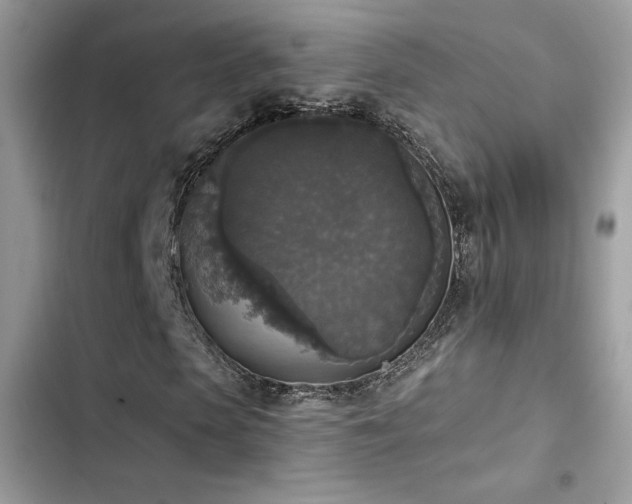 X0000103950913200809191437