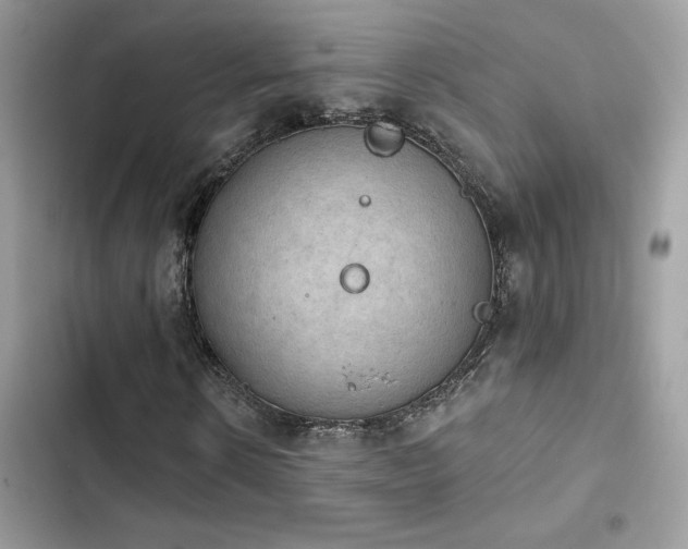 X0000103950914200809191437