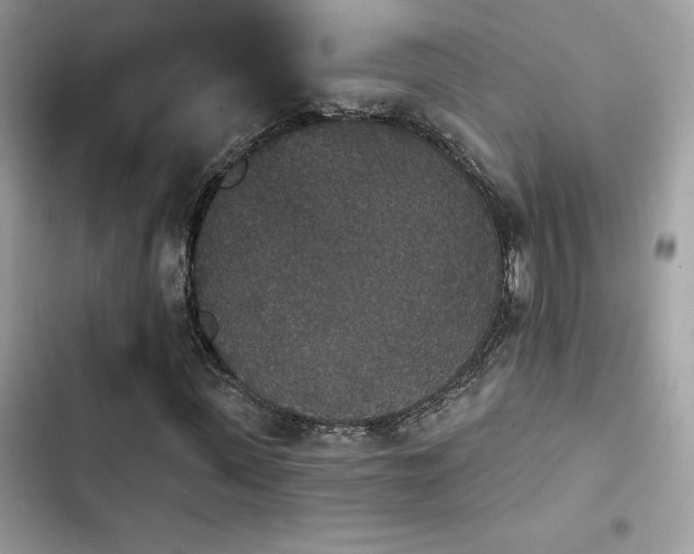 X0000103950915200809191437
