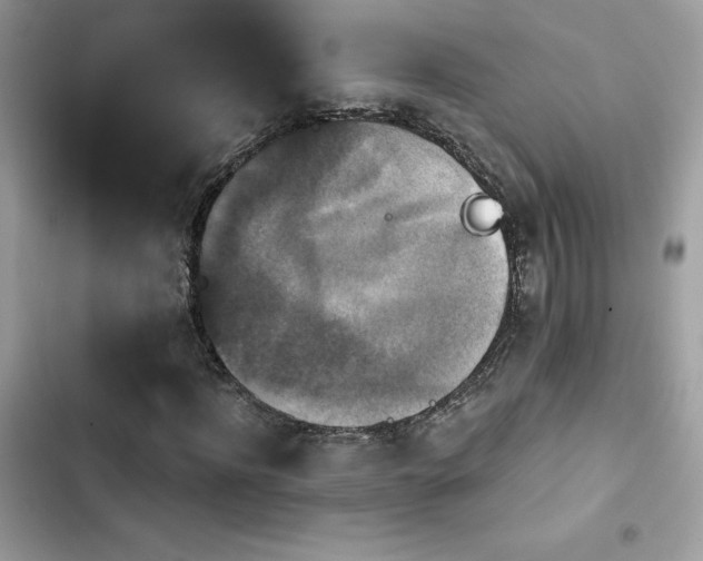 X0000103950916200809191437