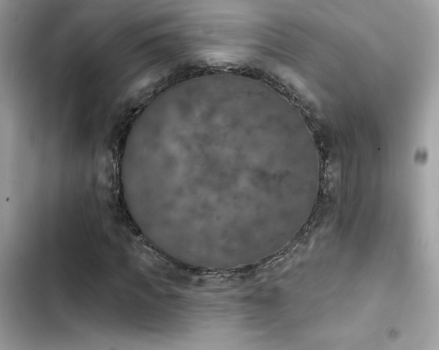 X0000103950917200809191437