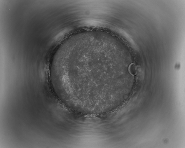 X0000103950918200809191437