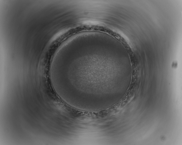X0000103950919200809191437