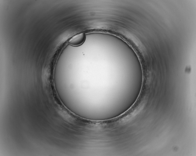X0000103950922200809191437