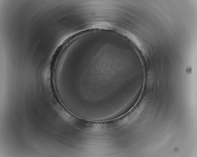 X0000103950923200809191437
