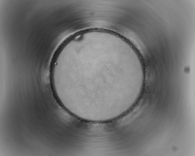 X0000103950924200809191437