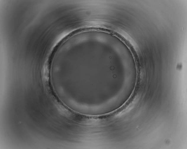 X0000103950925200809191437