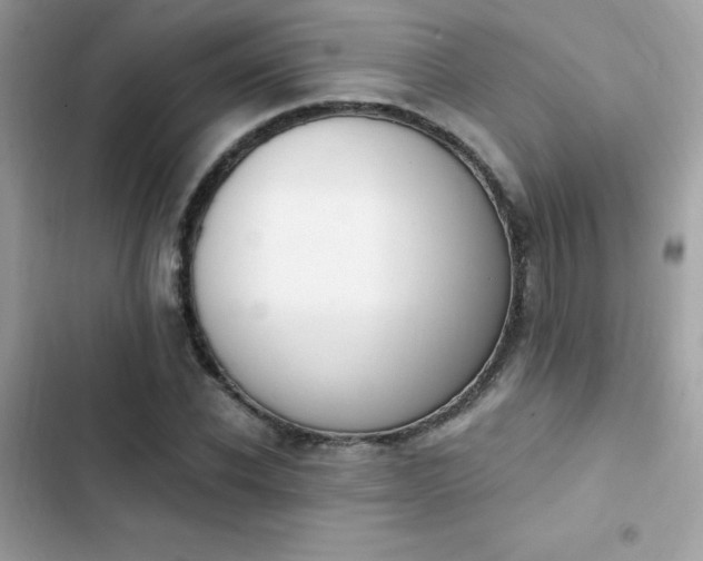 X0000103950926200809191437