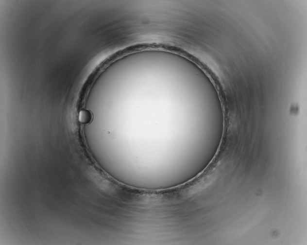 X0000103950927200809191437