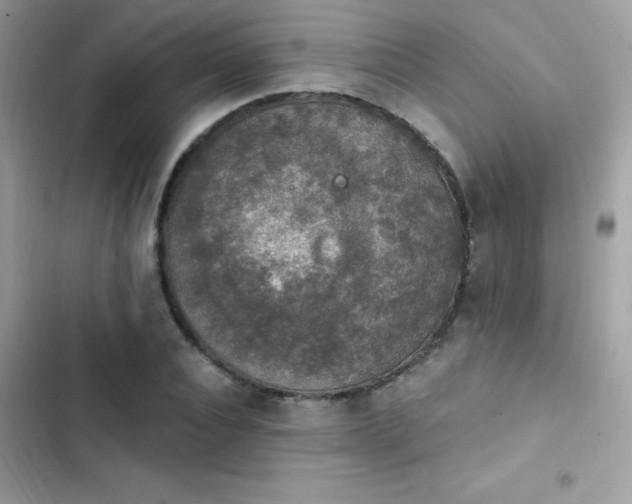 X0000103950928200809191437