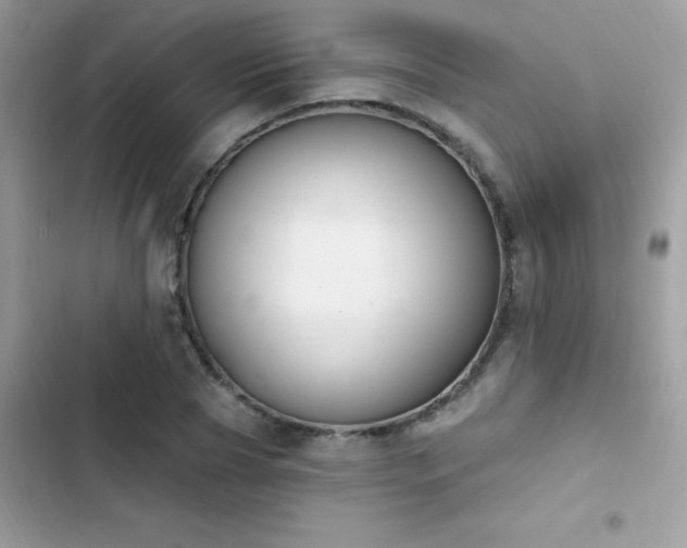 X0000103950929200809191437