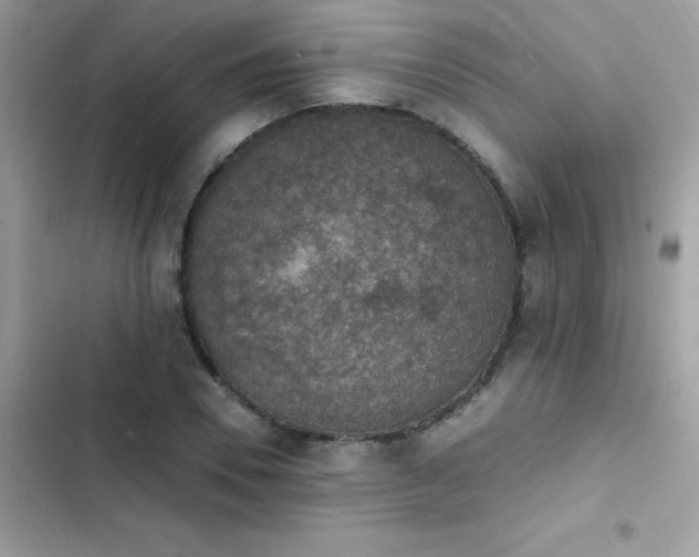 X0000103950930200809191437