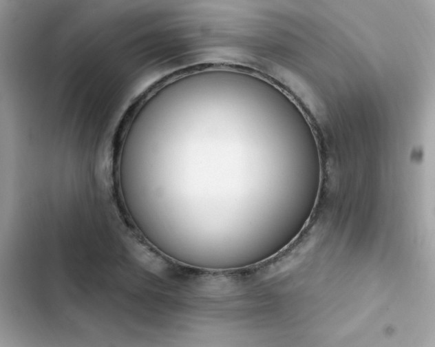 X0000103950931200809191437