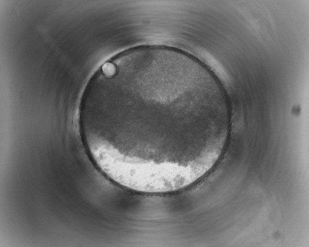X0000103950932200809191437