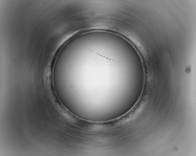 X0000103950933200809191437