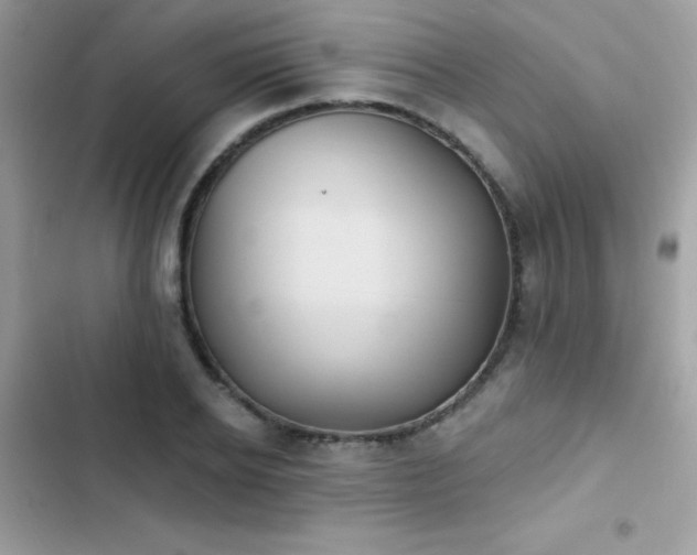 X0000103950934200809191437