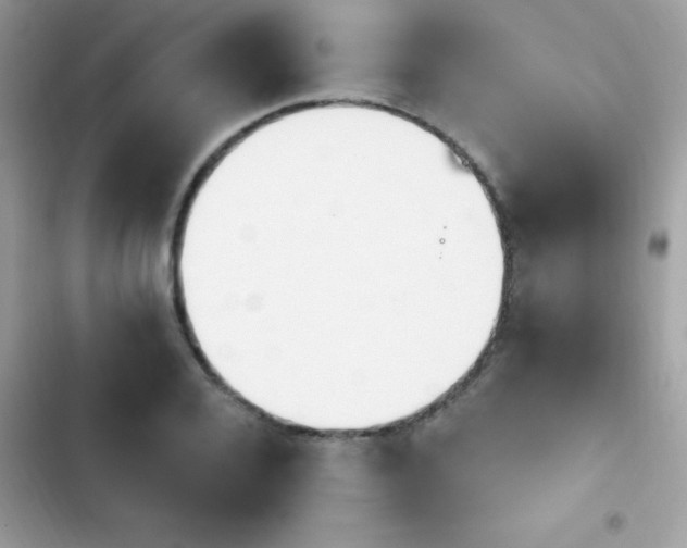 X0000103950936200809191437