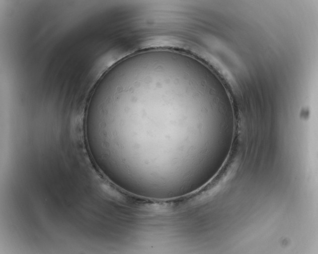 X0000103950937200809191437