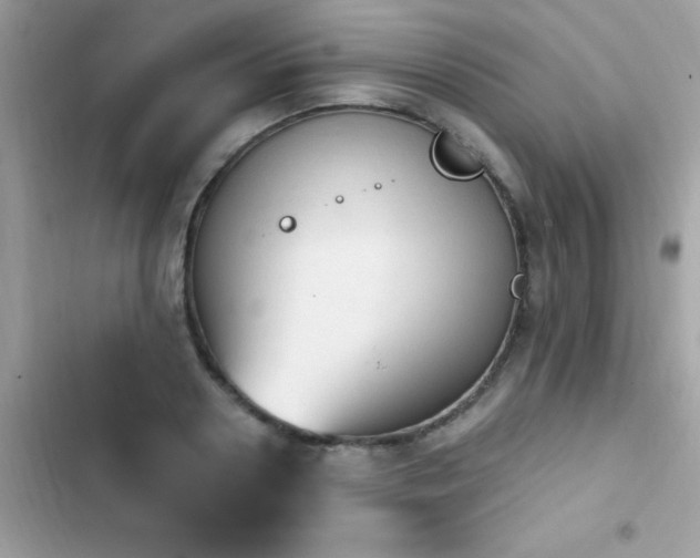 X0000103950938200809191437