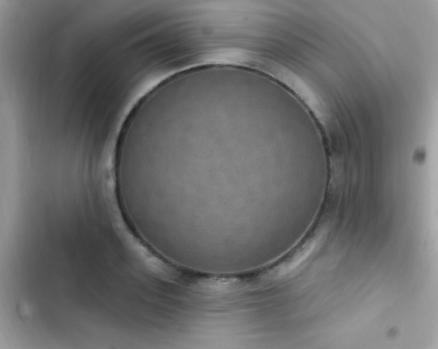 X0000103950939200809191437