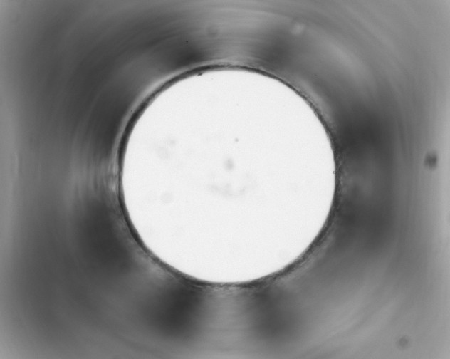 X0000103950940200809191437