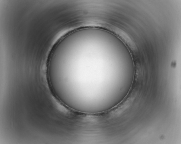X0000103950942200809191437