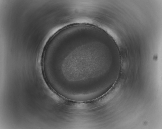 X0000103950943200809191437