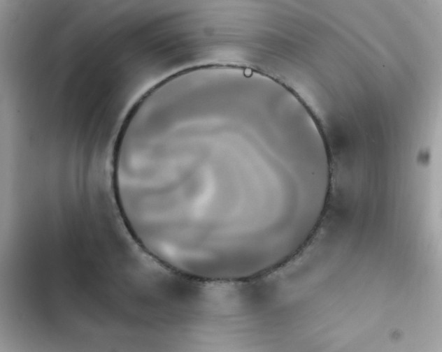 X0000103950944200809191437