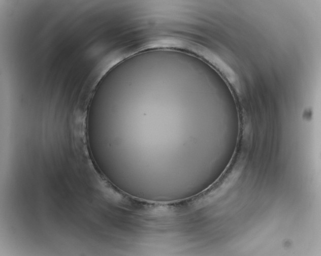 X0000103950945200809191437