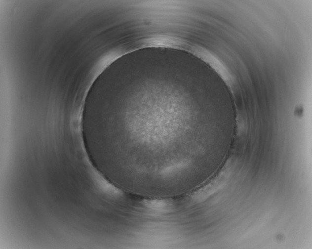 X0000103950946200809191437