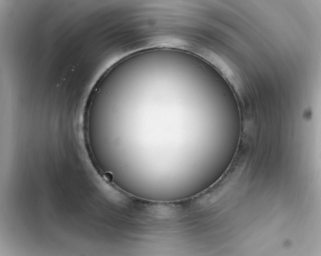 X0000103950947200809191437